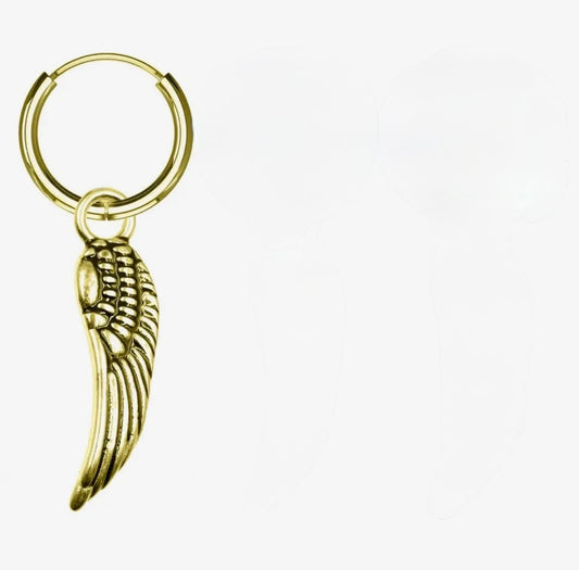 Aro colgante con ala